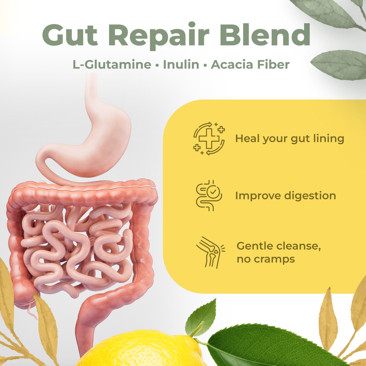 ELVA Daily Detox Powder